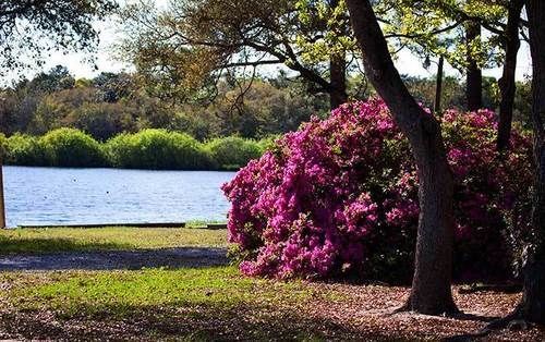 Twin Lakes Camp Resort DeFuniak Springs Exterior photo